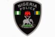 30-Year-Old Vigilante Set Ablaze By Mob In Abuja After Argument With Cleric – Police